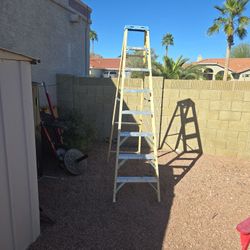 Warner 10ft Ladder 