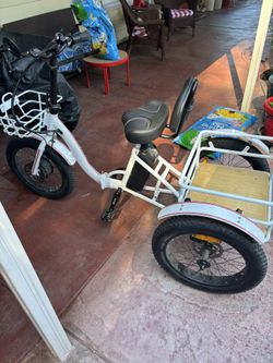 3 Wheel Electric Bike