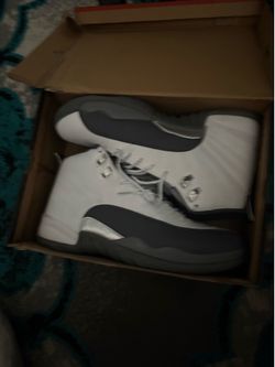 Air jordan retro 12s