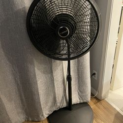 Fan 