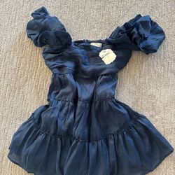 Size Large Dress Brand New With Tags