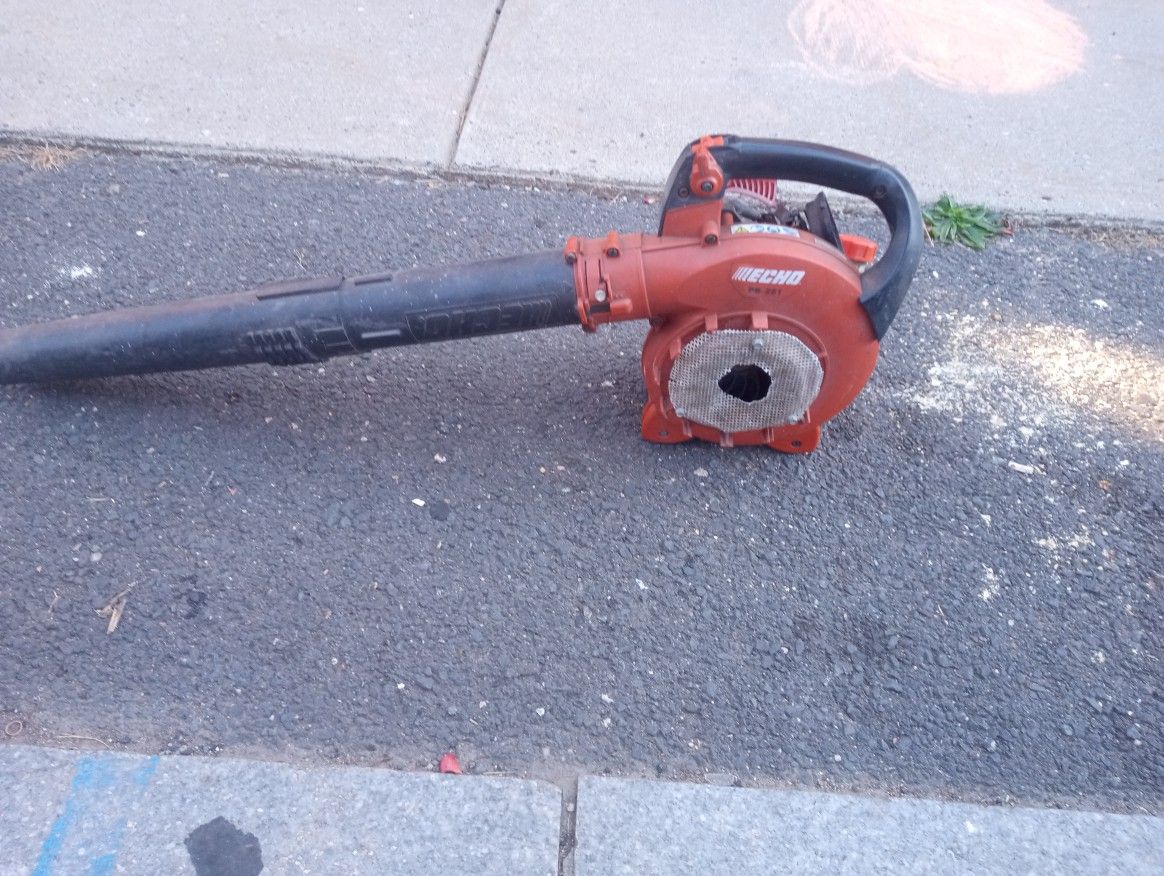 Echo Leaf Blower