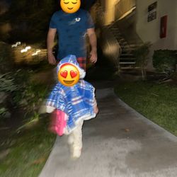 Ponchos/ Car seat Ponchos 