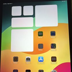 9th Gen iPad 256G + CELLULAR 