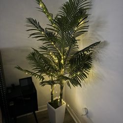 Palm Tree Faux 6ft