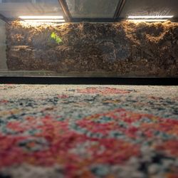 55 Gal Tank Terrarium 