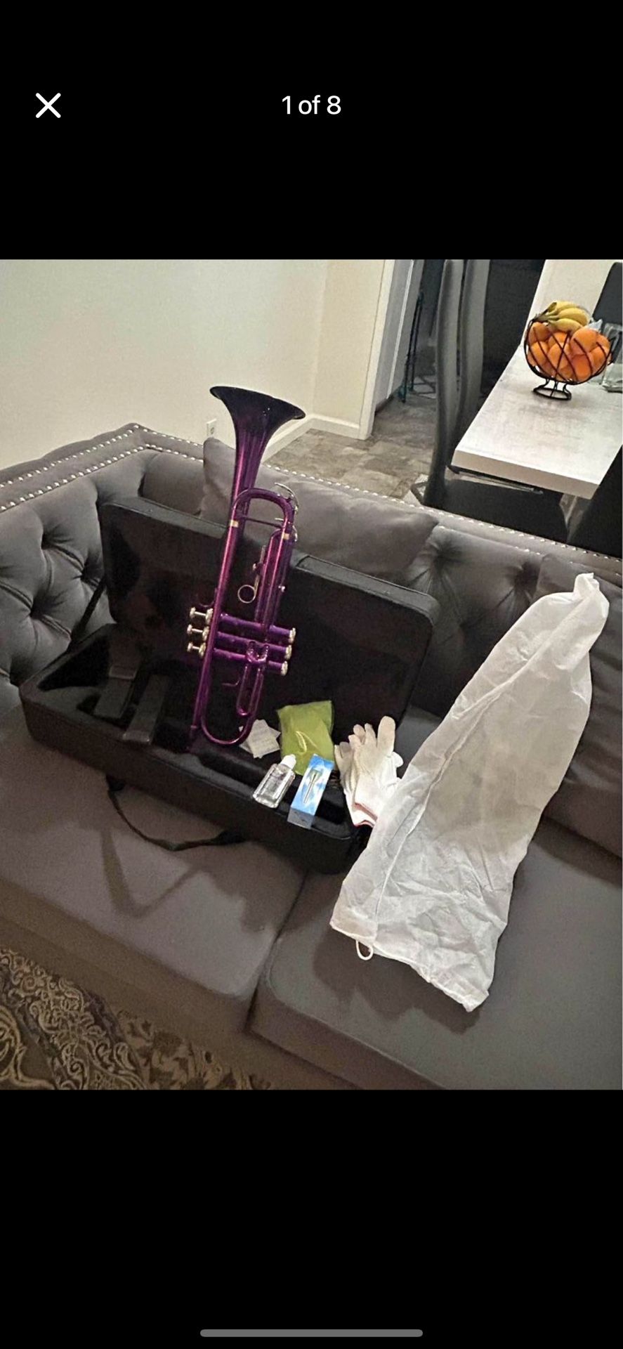 Brass B Flat Trumpet with Mouth of Trumpet and Gloves Violet