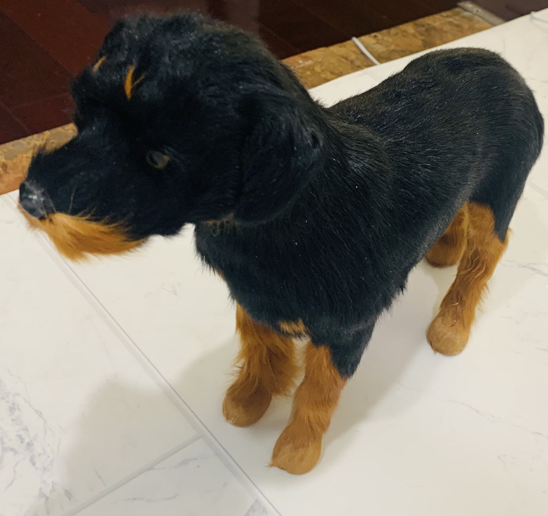 Toy Super Adorable Stuffed Animal Puppy!