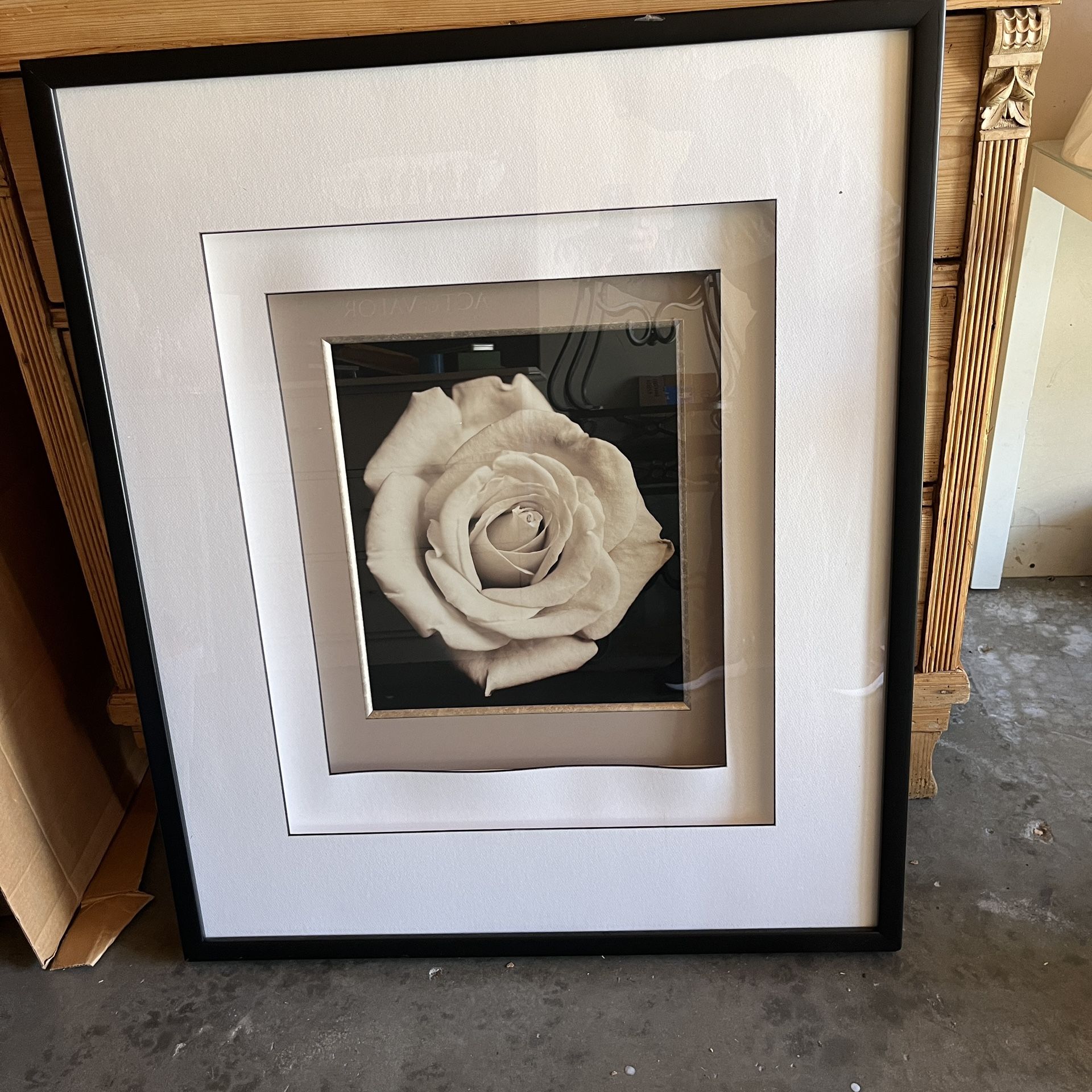 Framed Shadowbox Rose Photograph 40"x33.5"x3"