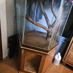 50 Gallon Hexagon Tank And Accessories 