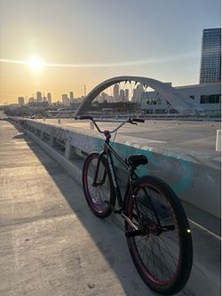 Throne 29er
