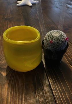 ANTHROPOLGIE VASE & SUCCULENT