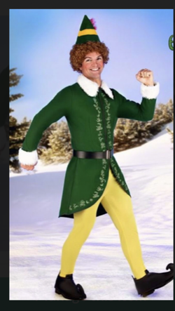 Adult Authentic Buddy the Elf Costume