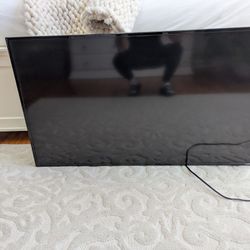 Vizio 50" TV