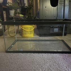 40 Gallon Fish Tank 
