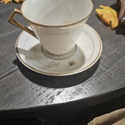Tea Cup And Plate