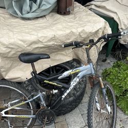 Mountain Bike 