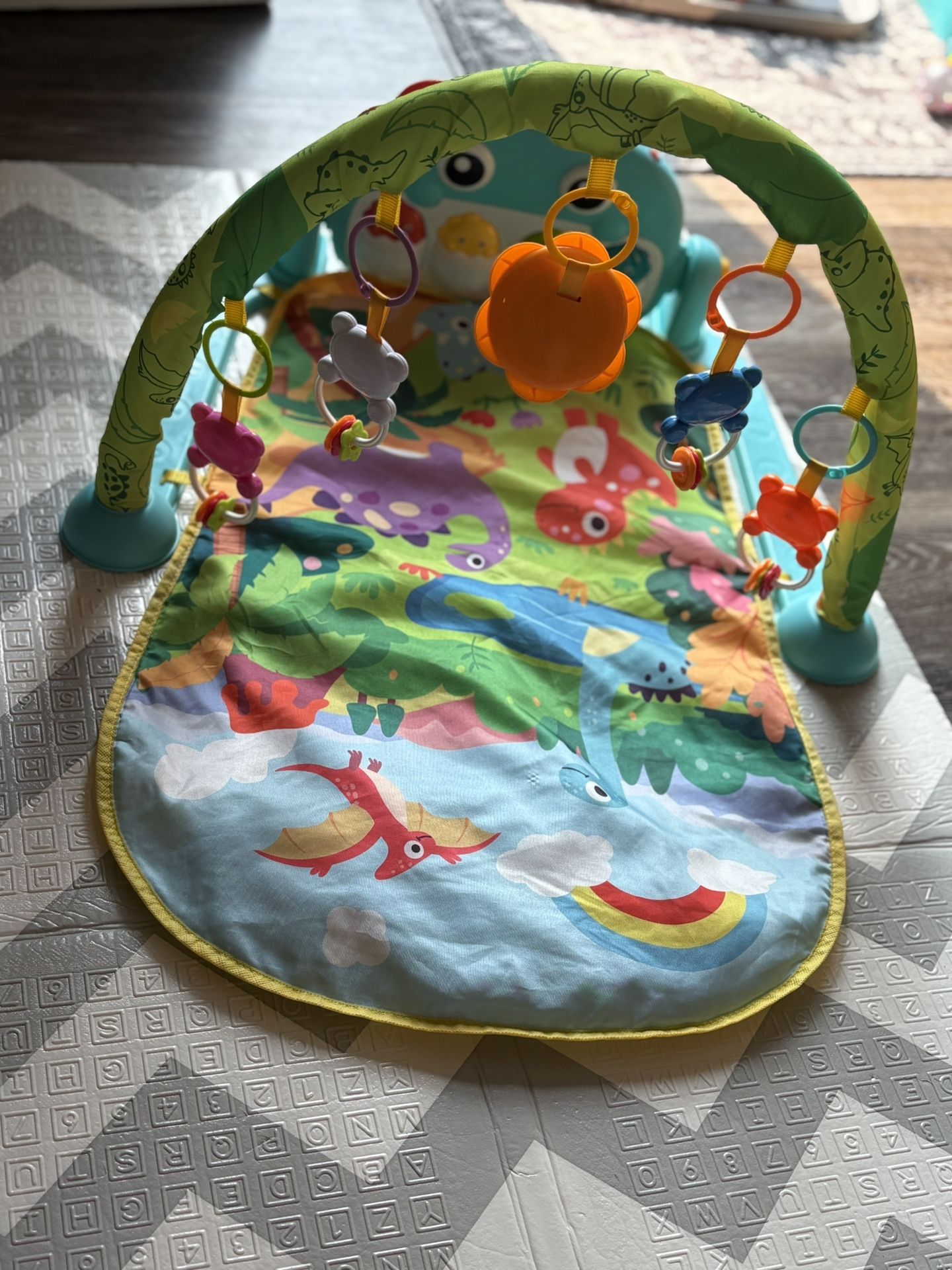 Tummy time play Mat
