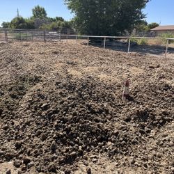 Free Horse Manure Load Your Truck Or Trailer