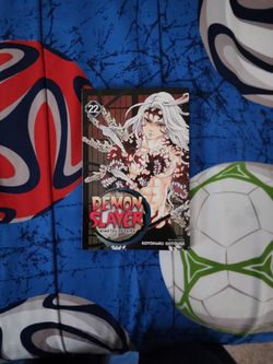 Demon Slayer Volume 22