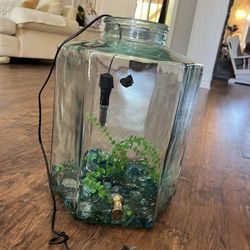 5 Gallon Fish Tank