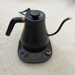 Electric Gooseneck Kettle