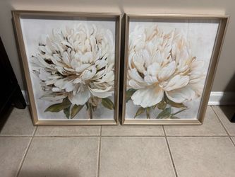 Wall pictures/ home decor  never used