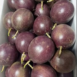 purple Passion Fruit Plant 