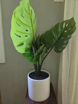 Artificial Plant