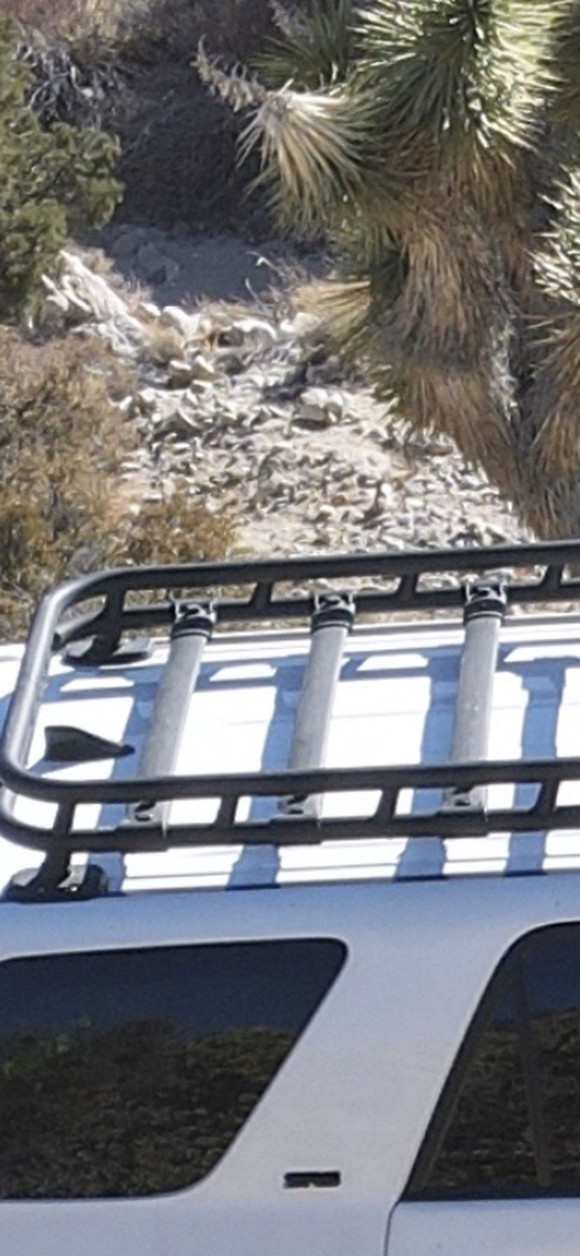 10-21 Toyota 4Runner TRD Pro Roof Rack 5th Gen