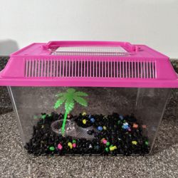 Travel Tank