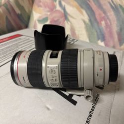 Canon EF 70-200mm f/2.8 L IS L Series Telephoto Lens