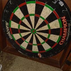 Dartboard In Cupboard 