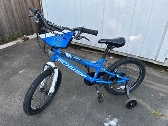 Kids Schwinn Moen 18