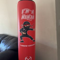 Kids Punching Bag