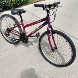 Two 24-in Wheel Mountain Bikes, Just Tuned Up