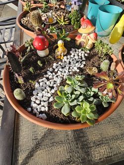 Succulent Garden