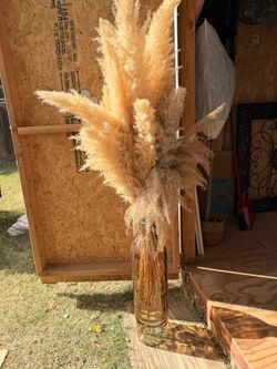 Big Vase With Pampas 
