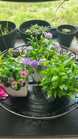 Set Of Three Artificial Plants