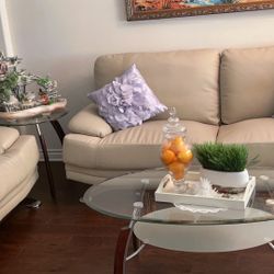 Sofa and Coffee table Set