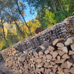 Firewood 