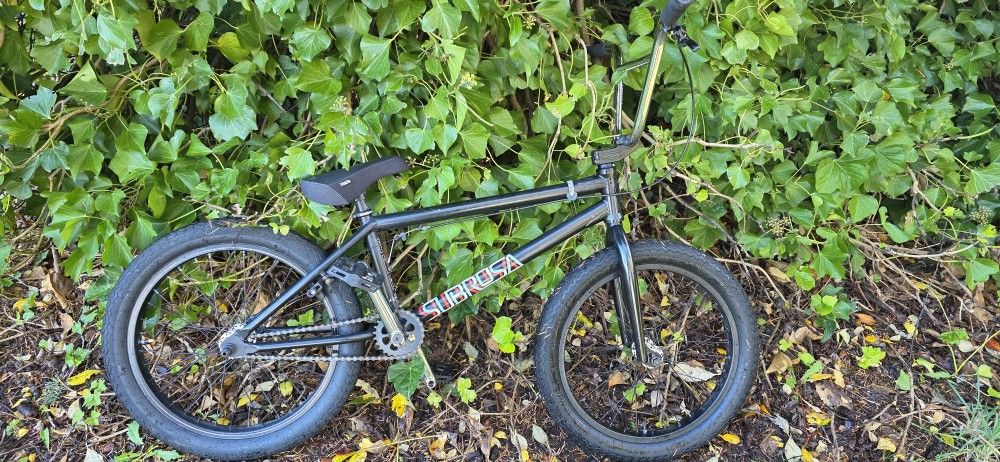 Subrosa Salvador Bmx