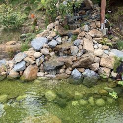 Pond & Fountain Maintenance 