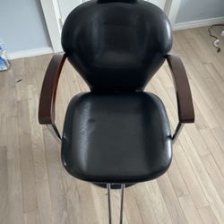 Barber/salon Chair