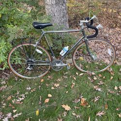 Schwinn World Sport Bicycle