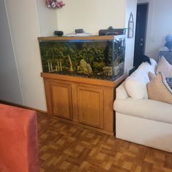 Fish Tank