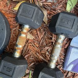 Pesas usadas – 2 barras, discos y 2 mancuernas