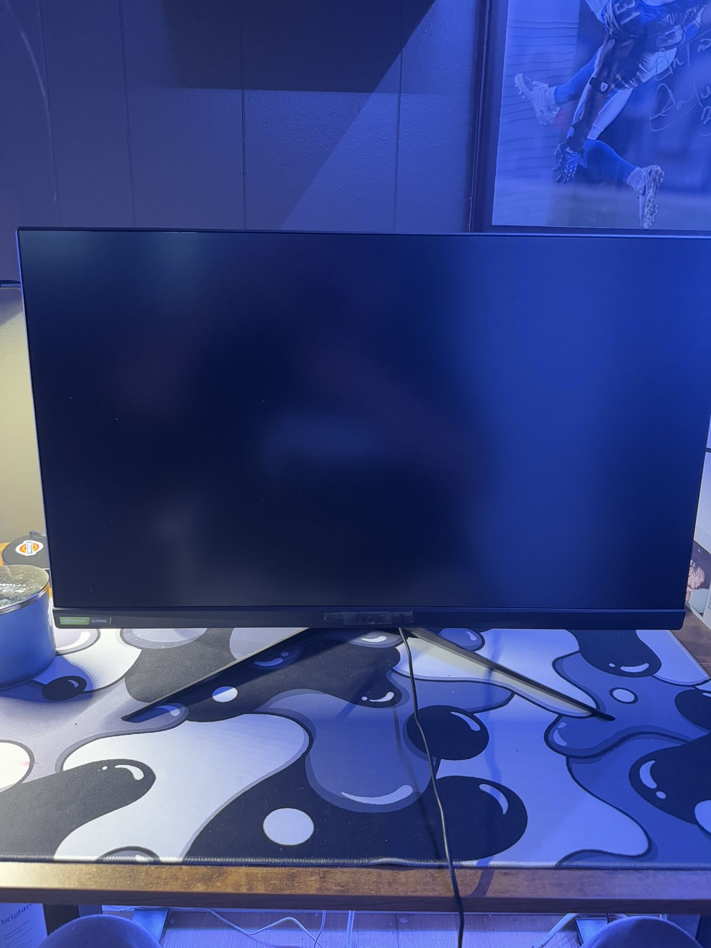 MSI Gaming Monitor