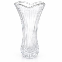 Elegant Clear Vase