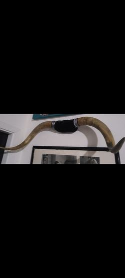 Horns
